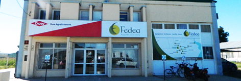 Fedea Historia 2006