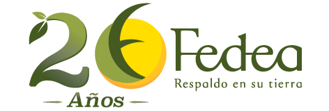 Fedea 2015 - 20 Años