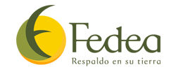 Fedea SA